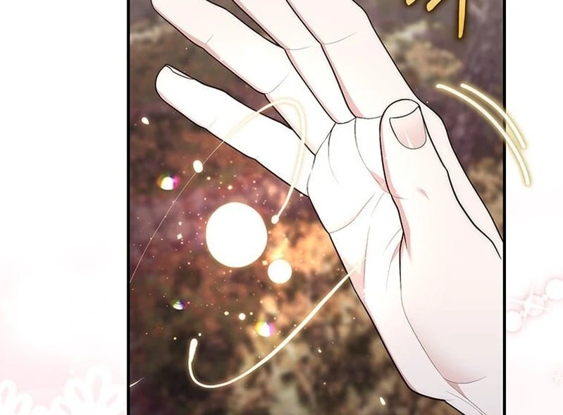 A Princess Who Reads Fortune Chapter 27028 page 104