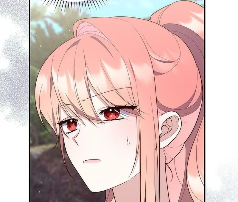 A Princess Who Reads Fortune Chapter 27028 page 47