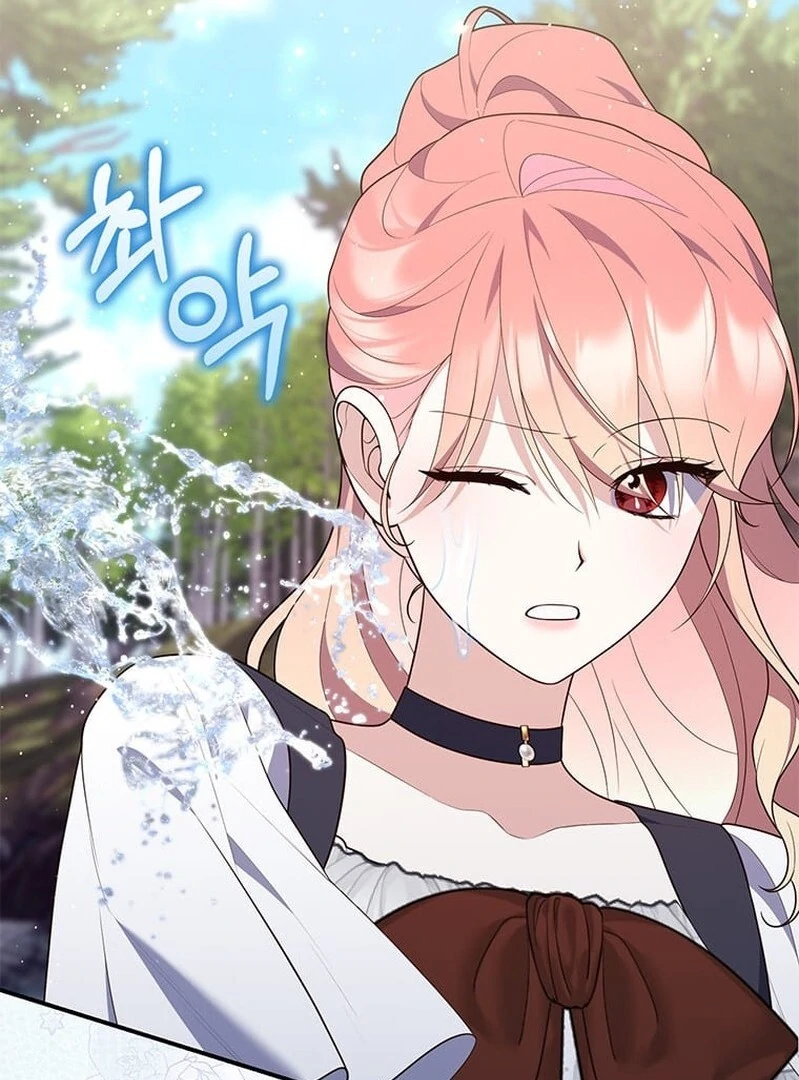 A Princess Who Reads Fortune Chapter 27028 page 88