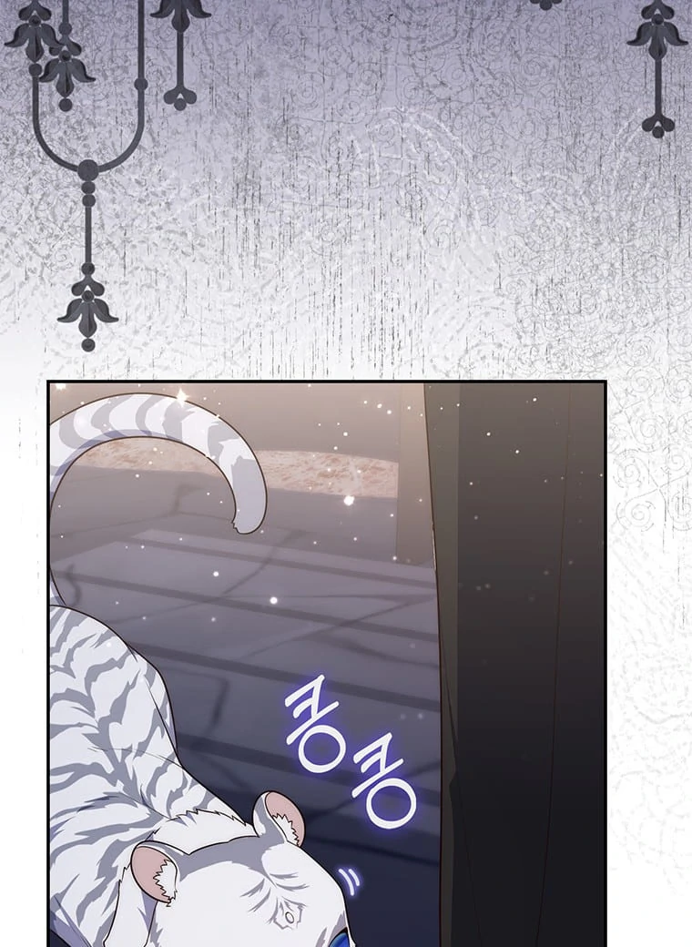 A Princess Who Reads Fortune Chapter 70302 page 104