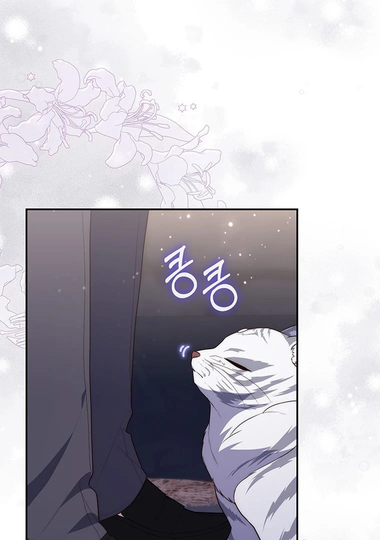A Princess Who Reads Fortune Chapter 70302 page 95