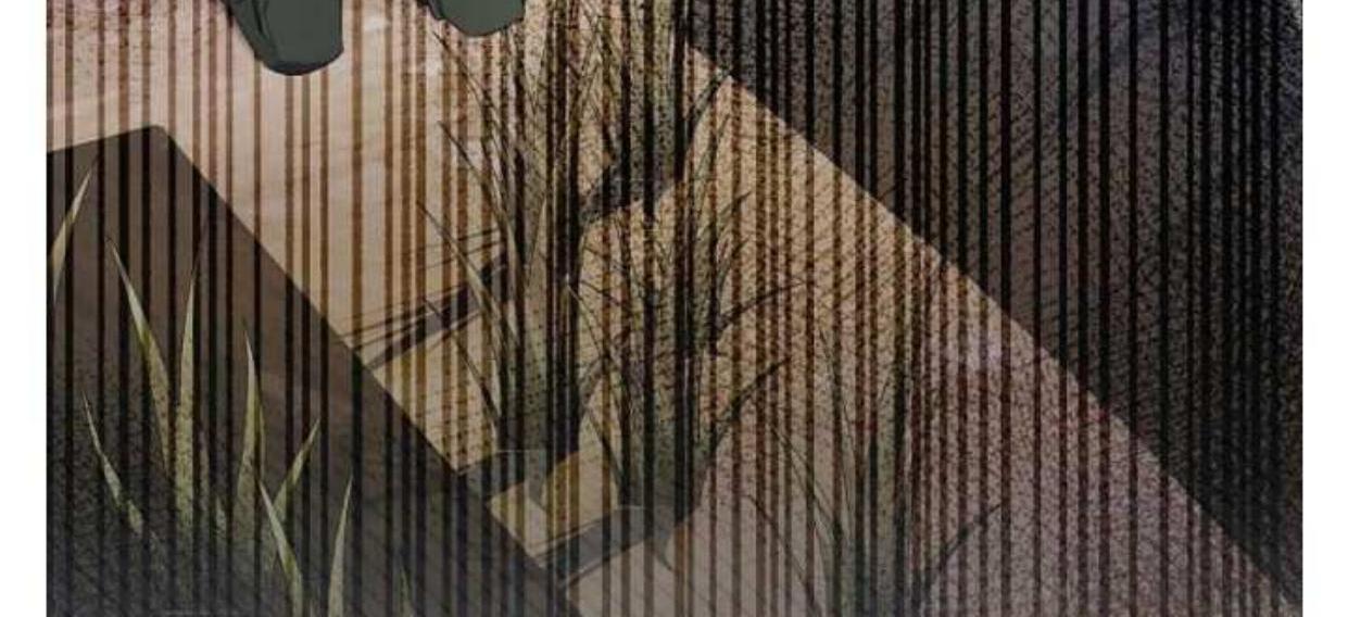 Aku Hanya Merawat Ayahku Yang Sakit Chapter 16 page 88