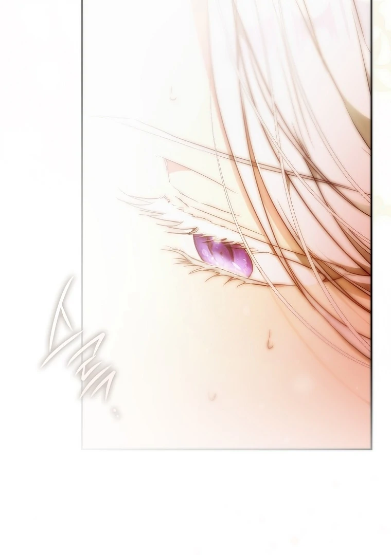 Author of My Own Destiny Chapter 119 page 106