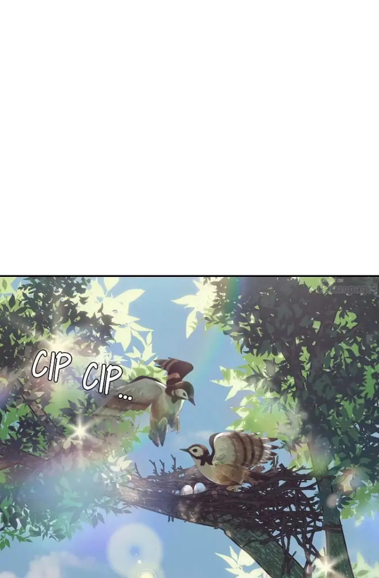 Ayah, Aku Tidak Mau Menikah! Chapter 3 page 1