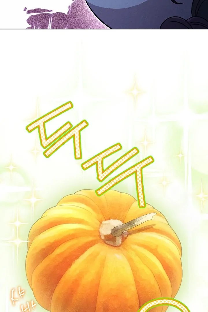 Became the youngest Sister-in-Law of the Ruined Harem Male Leads Chapter 25 page 31