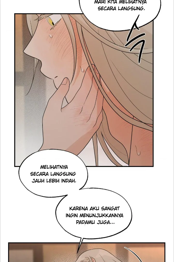 BIBISAE Chapter 14 page 10