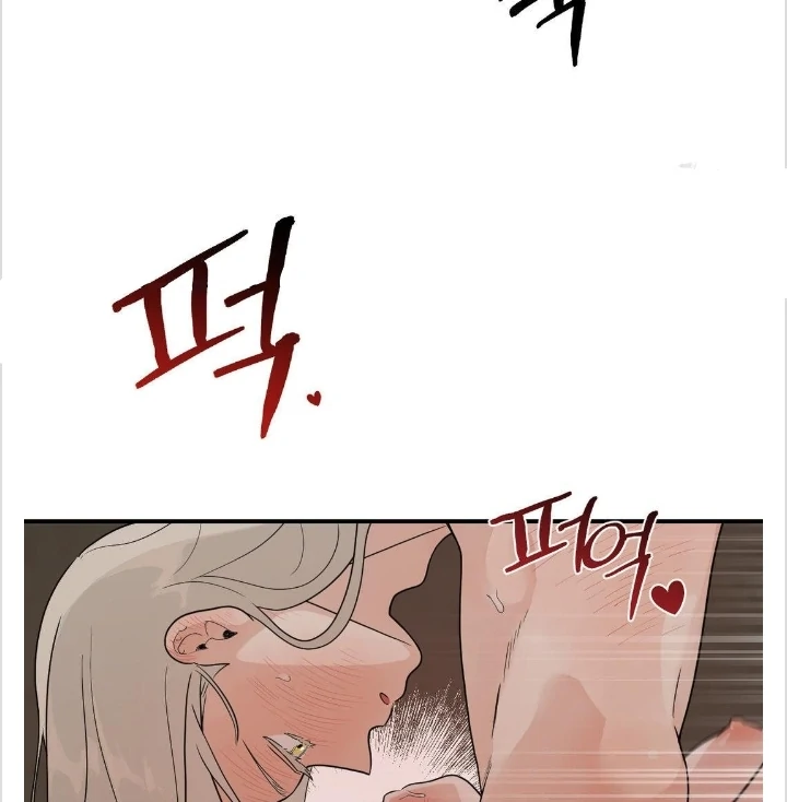 BIBISAE Chapter 14 page 27