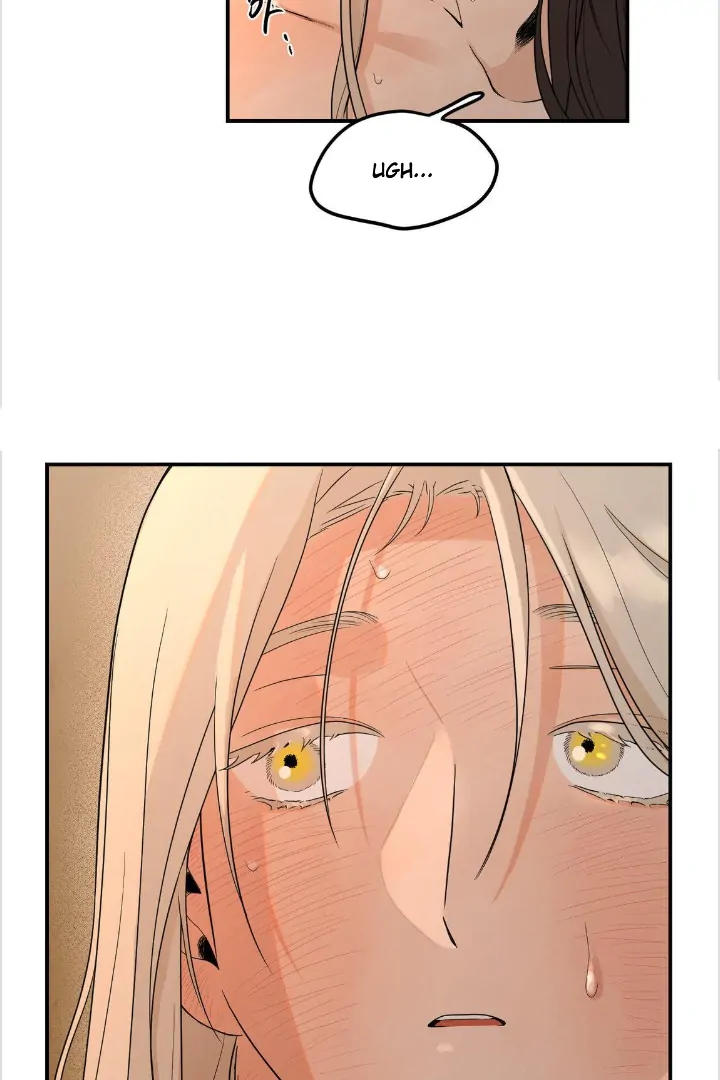 BIBISAE Chapter 14 page 2