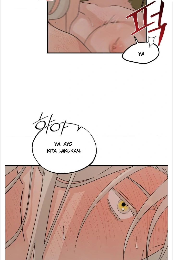 BIBISAE Chapter 14 page 38