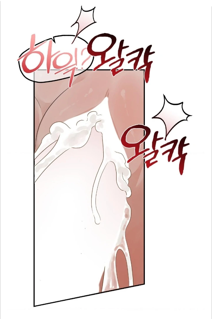 BIBISAE Chapter 14 page 40