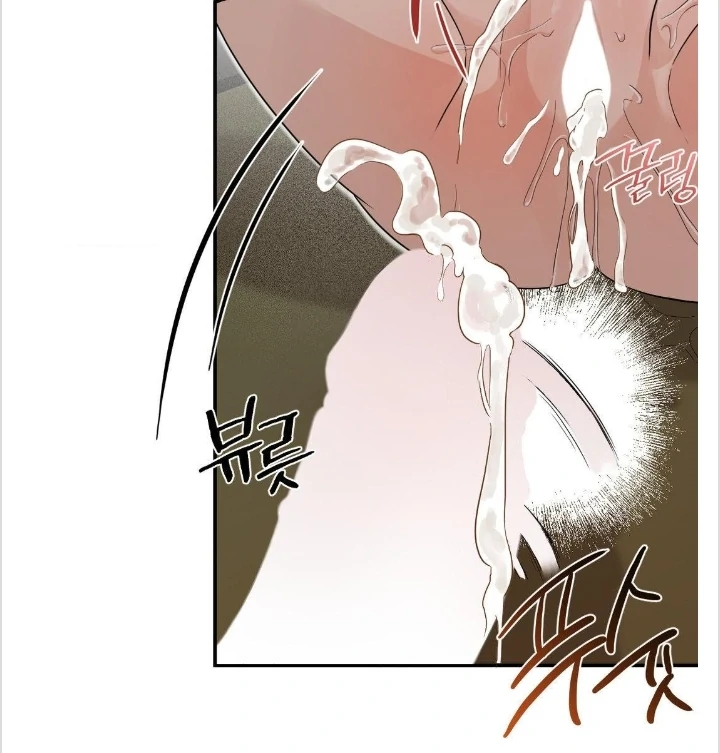BIBISAE Chapter 14 page 43