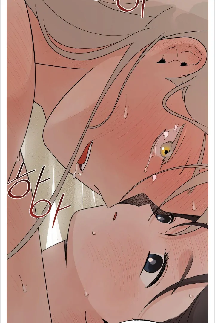 BIBISAE Chapter 14 page 46