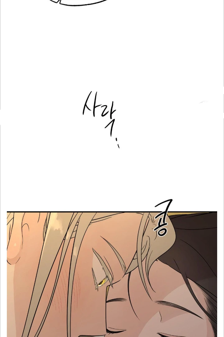 BIBISAE Chapter 14 page 54