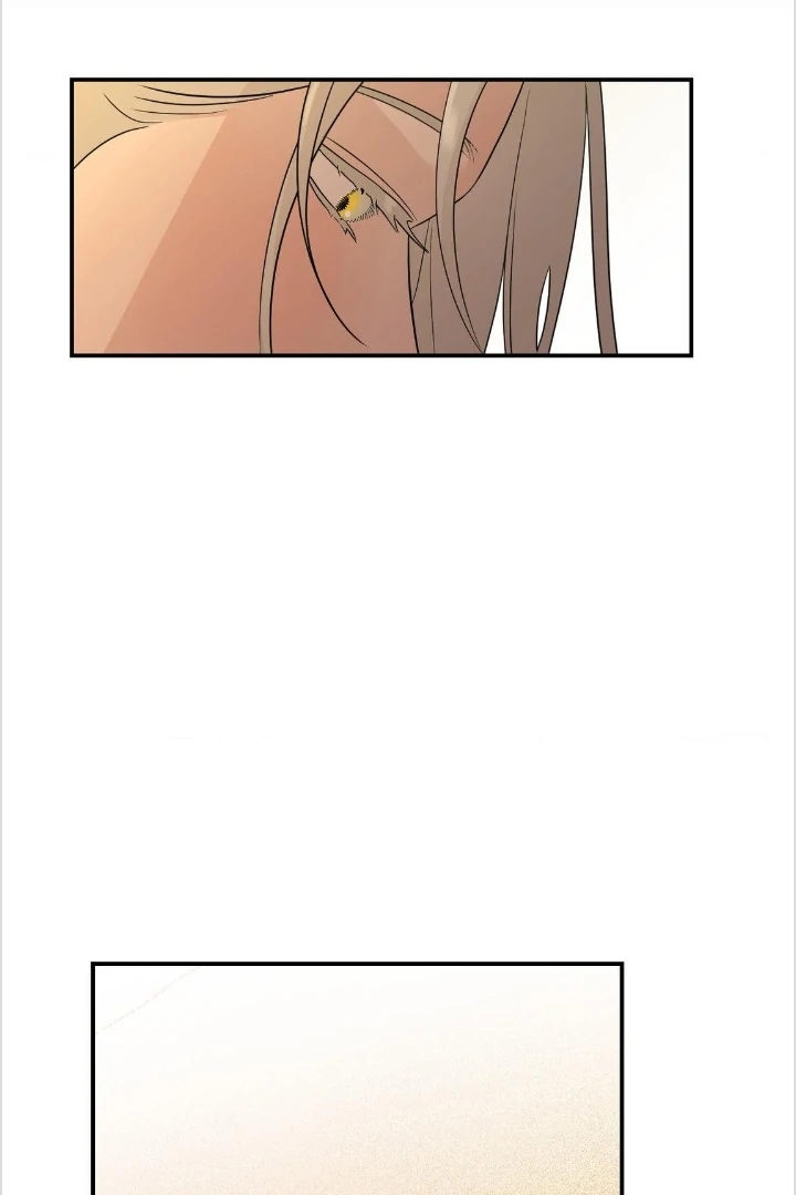 BIBISAE Chapter 14 page 58