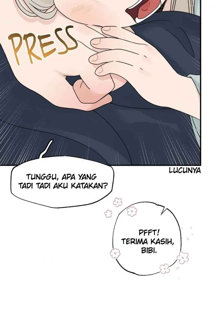 BIBISAE Chapter 5 page 19