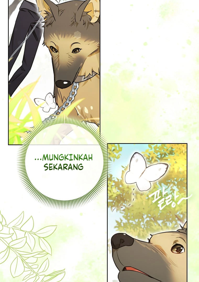 Even Though I Was Possessed as a Villain, I Still Want to Raise a Cat Chapter 31 page 59