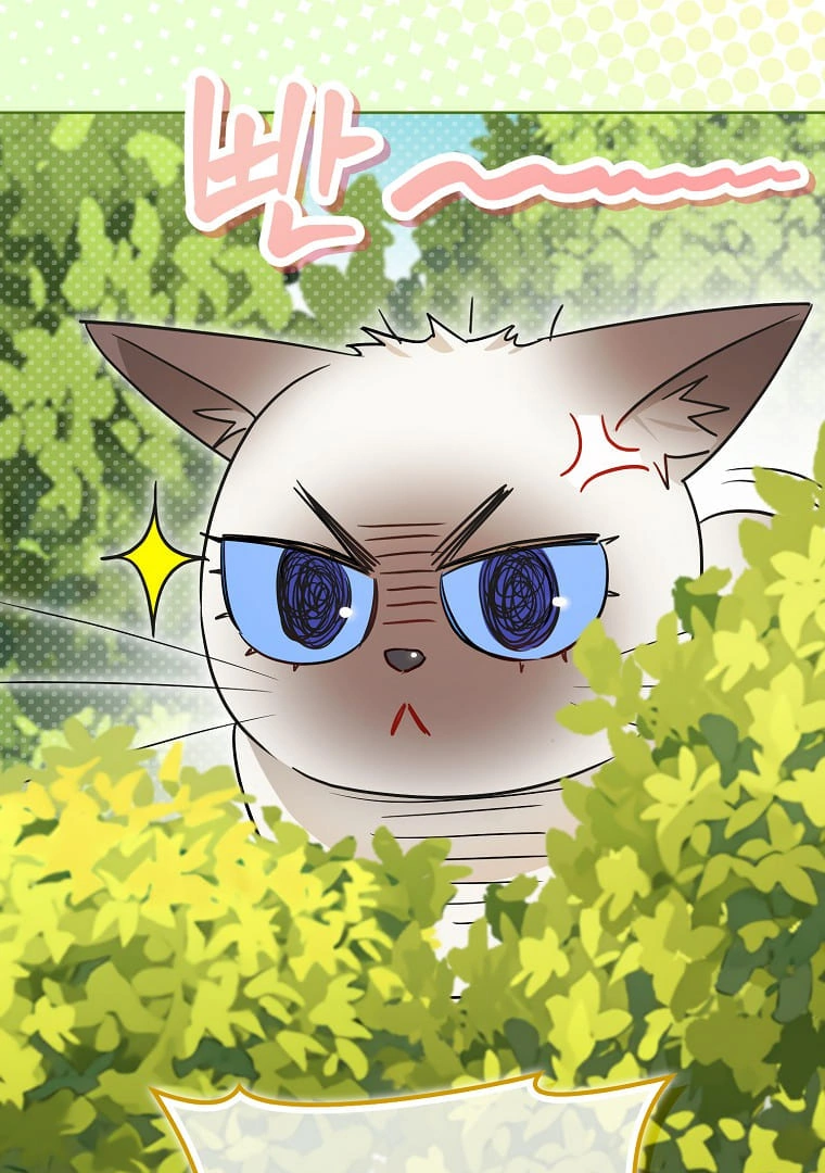 Even Though I Was Possessed as a Villain, I Still Want to Raise a Cat Chapter 31 page 67