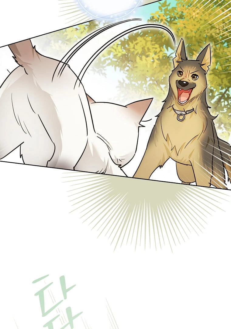 Even Though I Was Possessed as a Villain, I Still Want to Raise a Cat Chapter 31 page 73