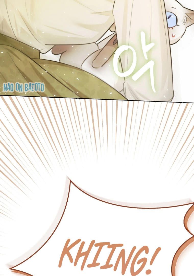 Even Though I Was Possessed as a Villain, I Still Want to Raise a Cat Chapter 31 page 75