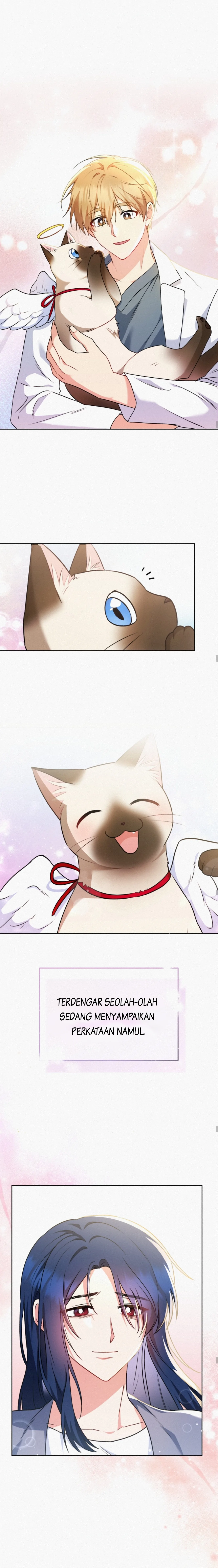 Hello! Veterinarian! Chapter 33 page 13