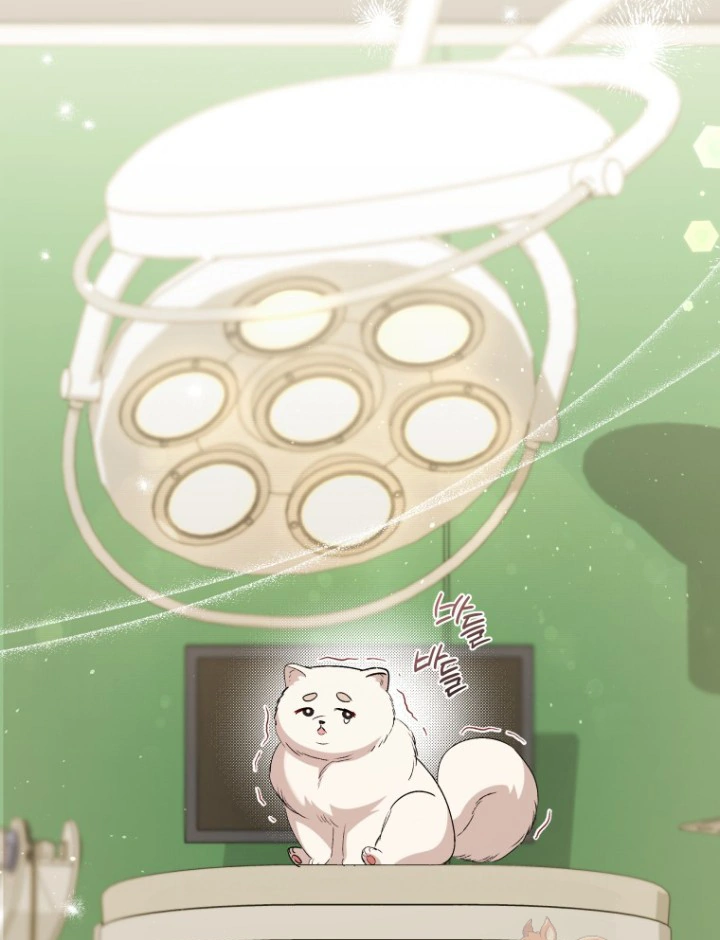 Hello! Veterinarian! Chapter 63 page 82