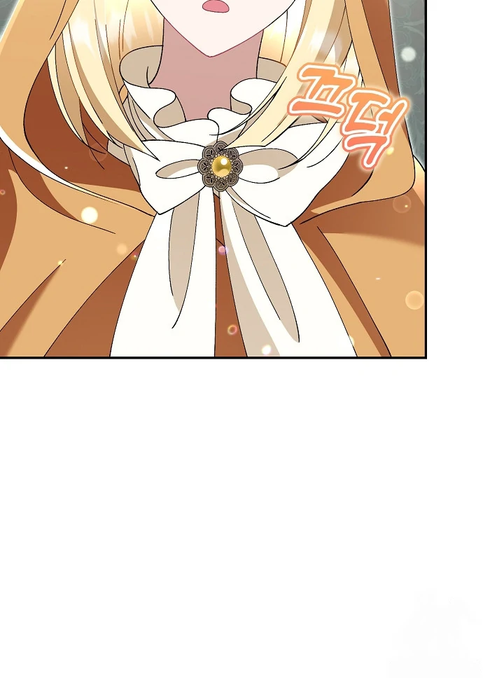He’s a Villain, But He’s Favored Chapter 17 page 92