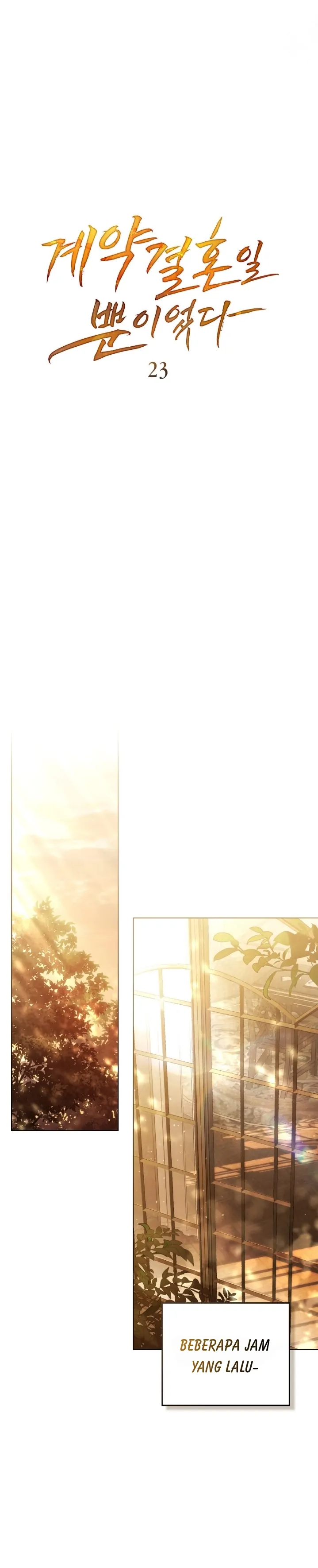 It Was Just a Contract Marriage Chapter 23 page 4