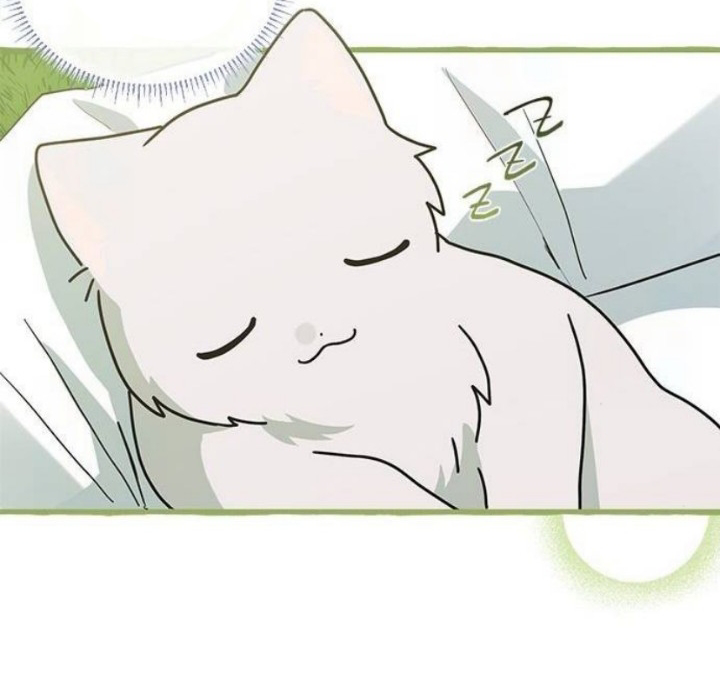 It’s a Cat, Adopted by a Wolf Family? Chapter 24 page 104