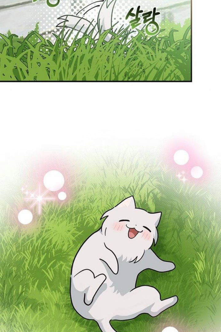 It’s a Cat, Adopted by a Wolf Family? Chapter 24 page 51