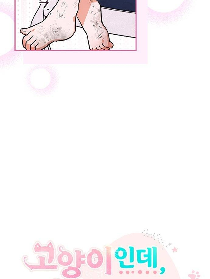 It’s a Cat, Adopted by a Wolf Family? Chapter 3 page 39