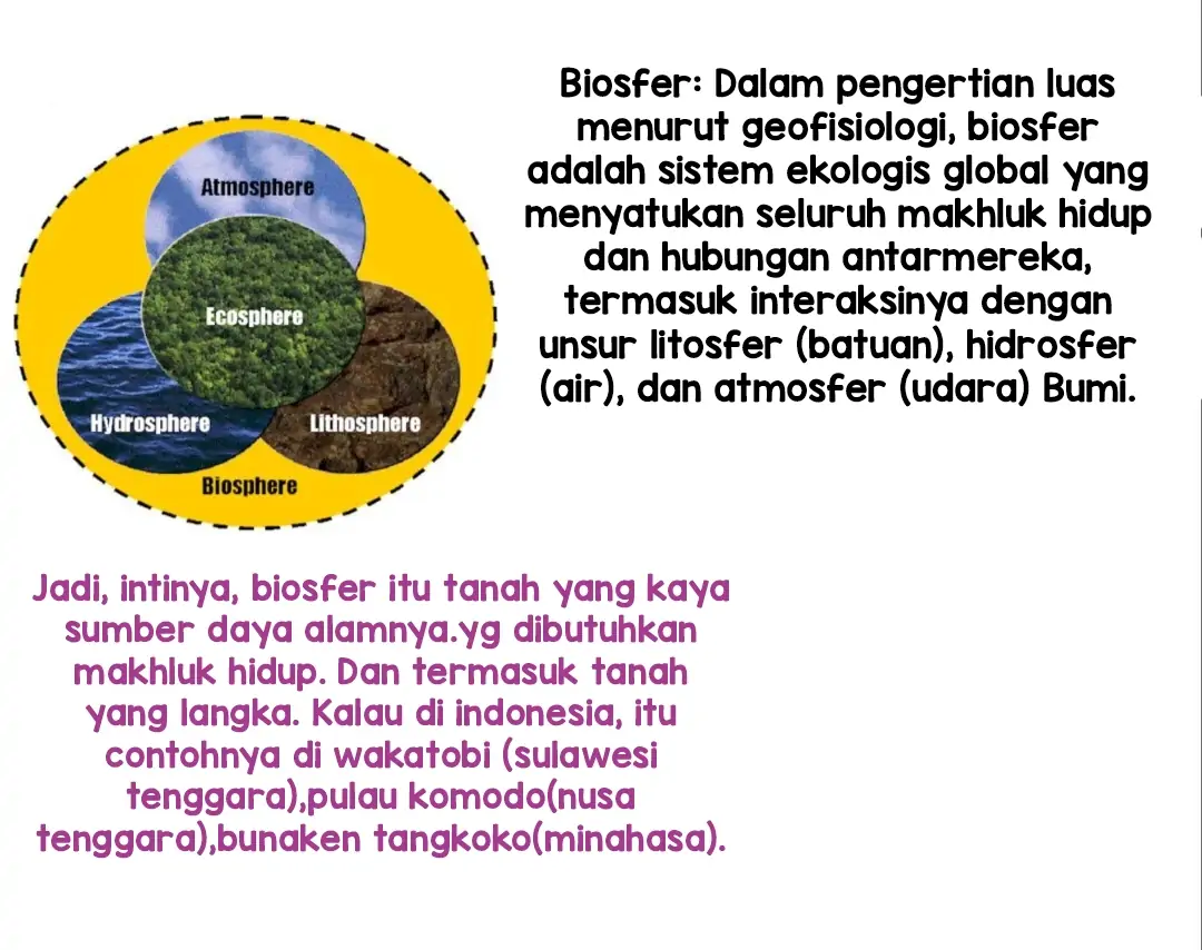 KAPTEN! DISINIKAH MEDAN PERANGNYA Chapter 20 page 79