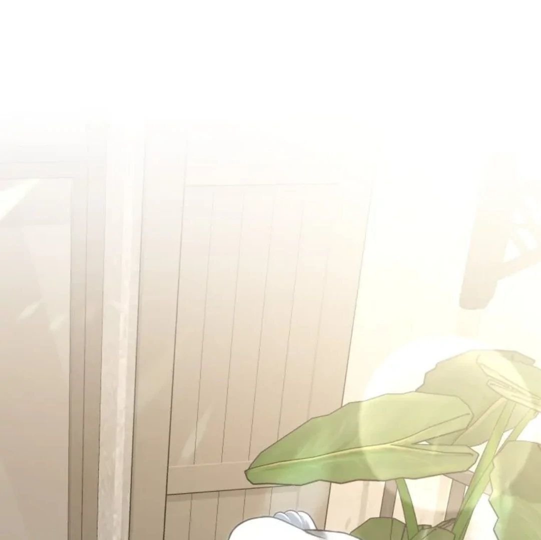 Luce: My New Identity as a Contract Wife Chapter 13 page 145