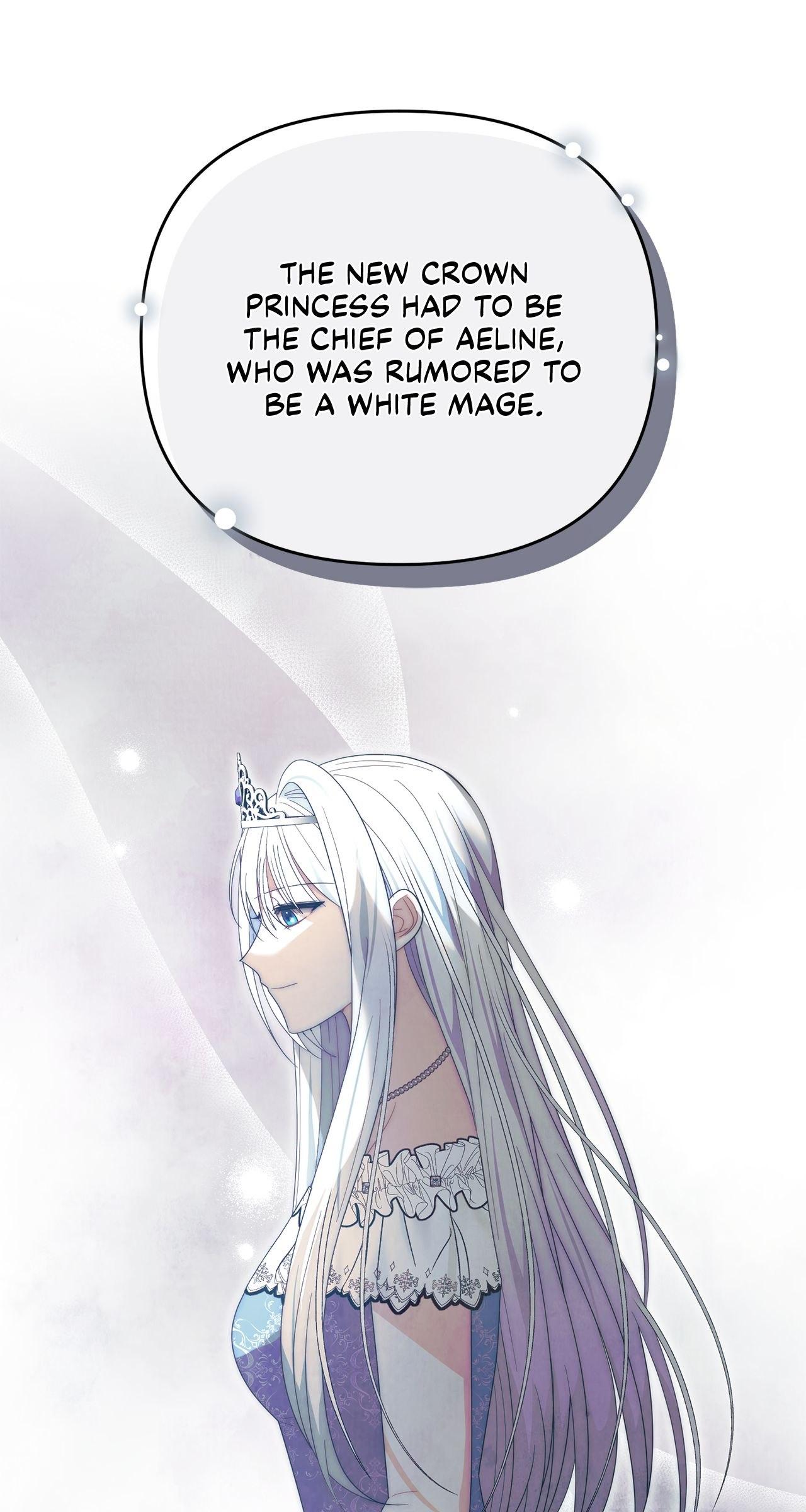 No, I Only Charmed the Princess! Chapter 34 page 101