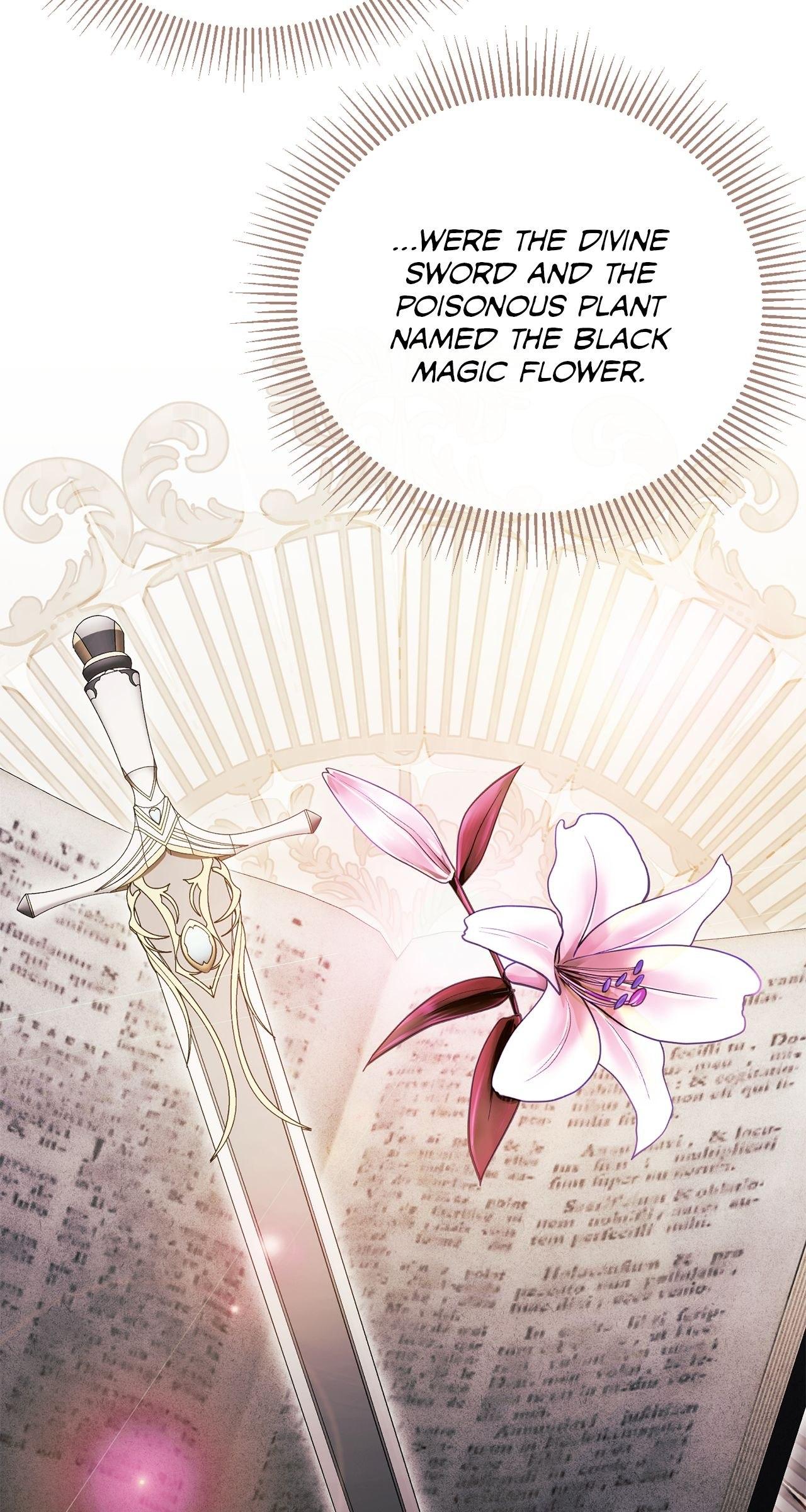 No, I Only Charmed the Princess! Chapter 34 page 26