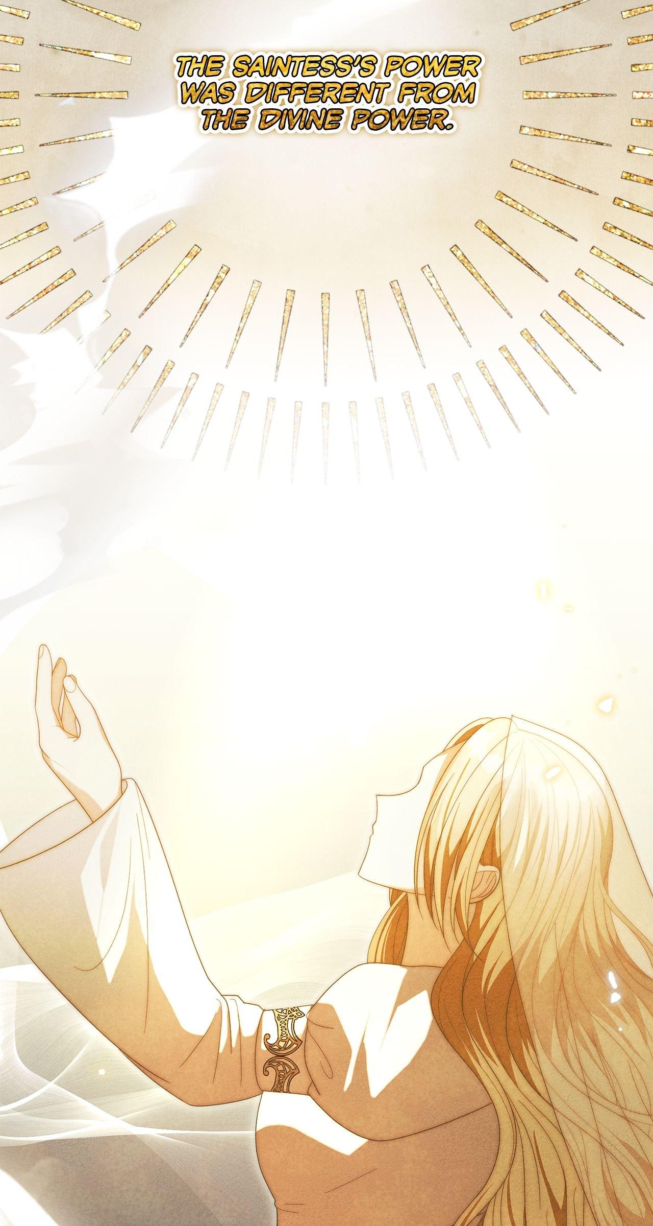 No, I Only Charmed the Princess! Chapter 34 page 71