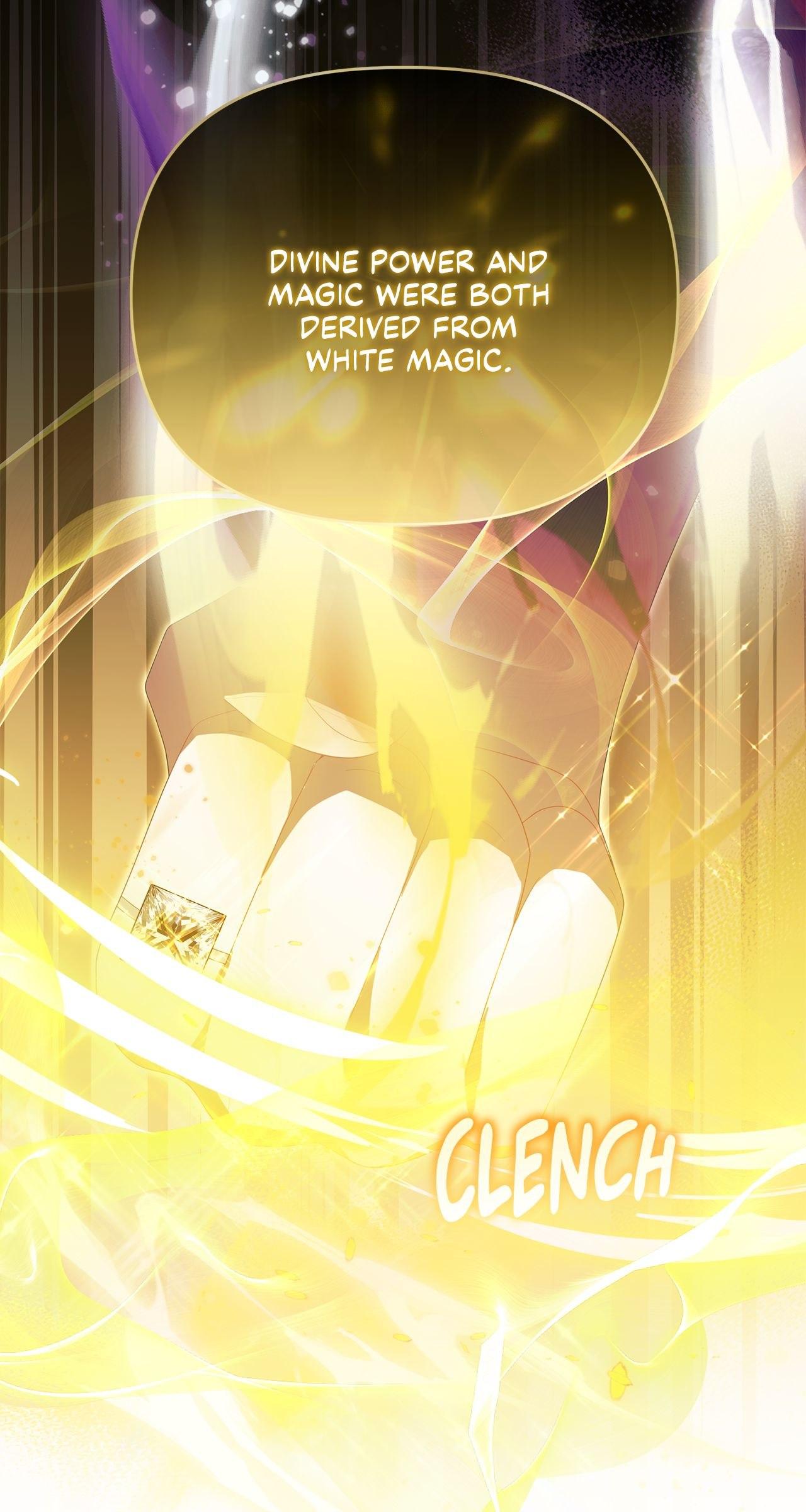 No, I Only Charmed the Princess! Chapter 34 page 81