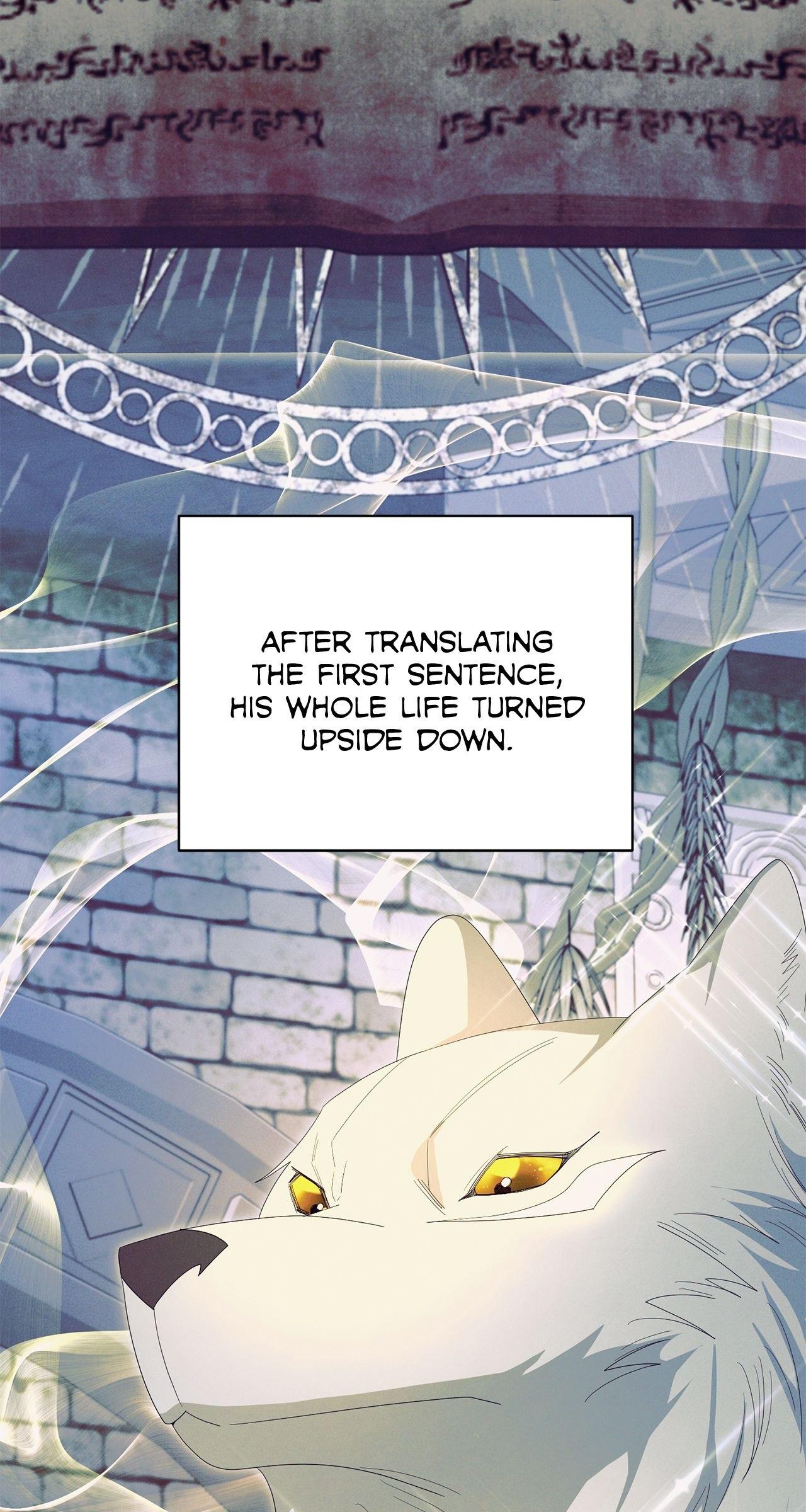 No, I Only Charmed the Princess! Chapter 36 page 78