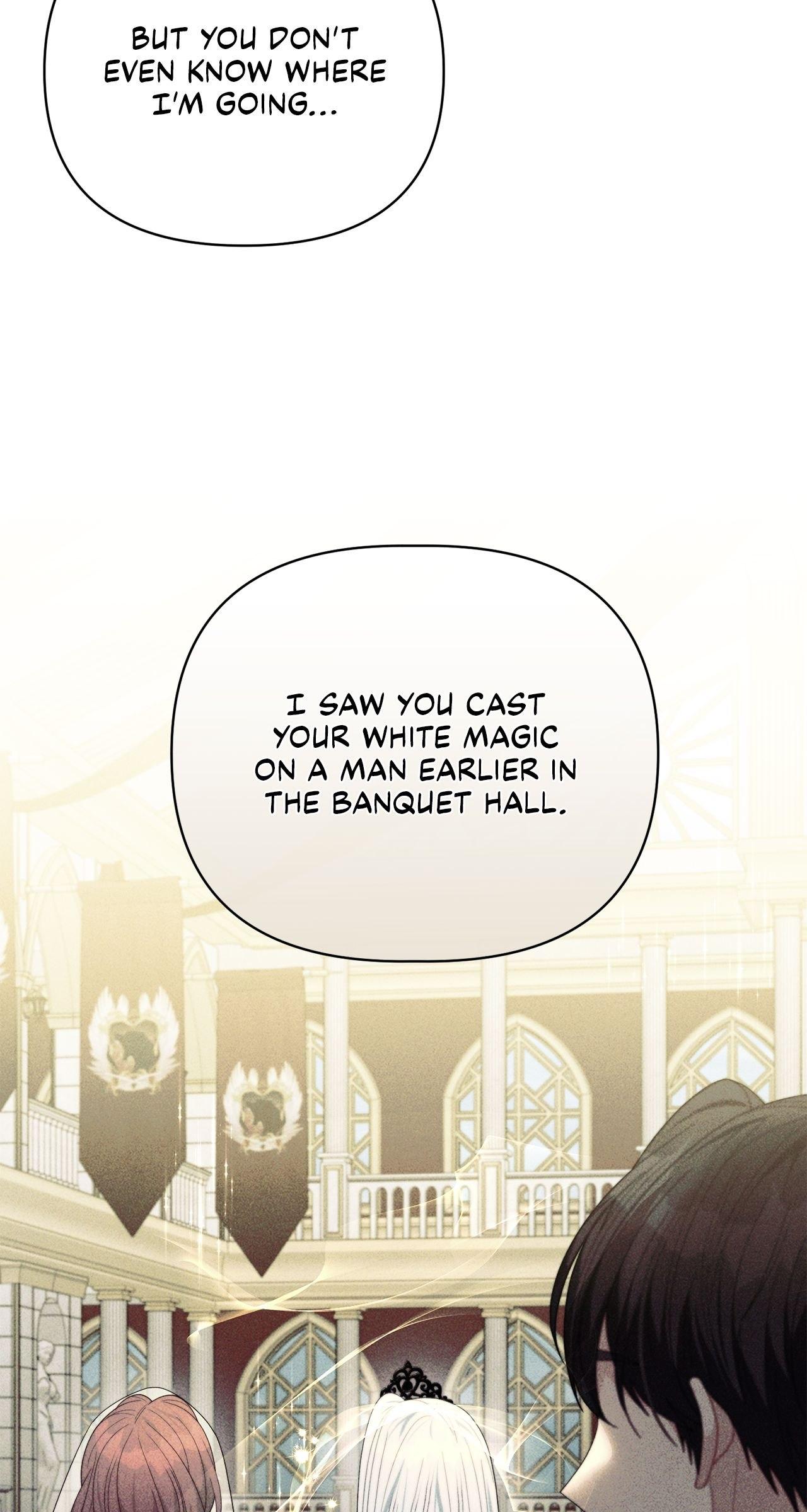 No, I Only Charmed the Princess! Chapter 37 page 3