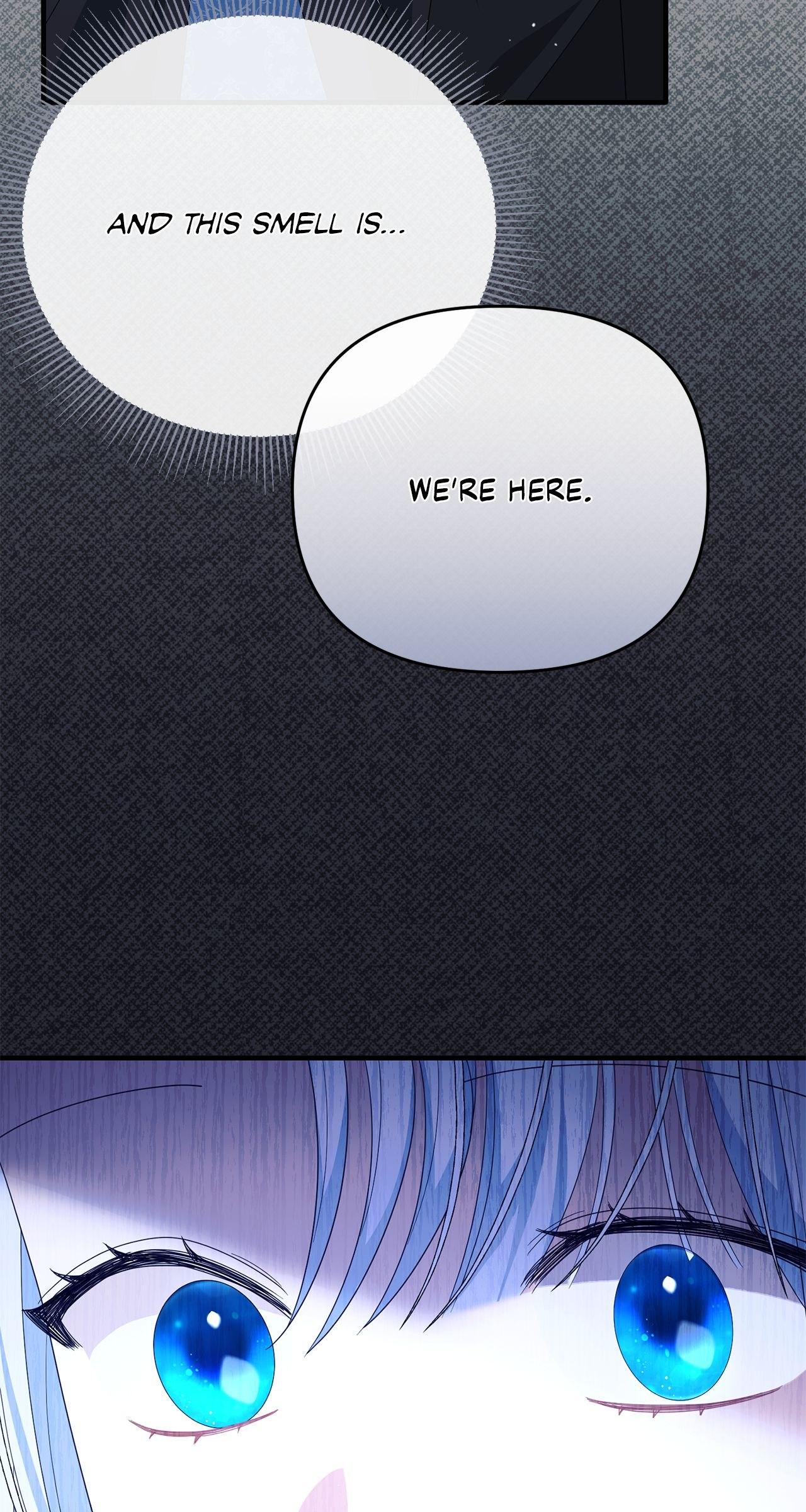 No, I Only Charmed the Princess! Chapter 37 page 91