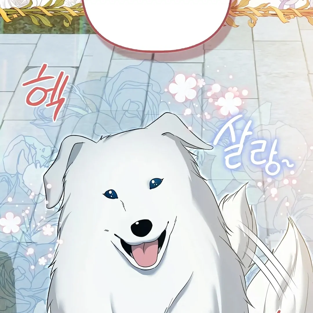 Rejecting the Perfect Marriage Chapter 2 page 97