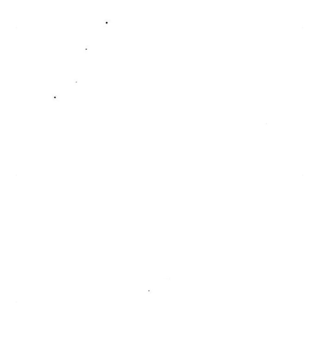 Tears on a Withered Flower Chapter 22 page 151