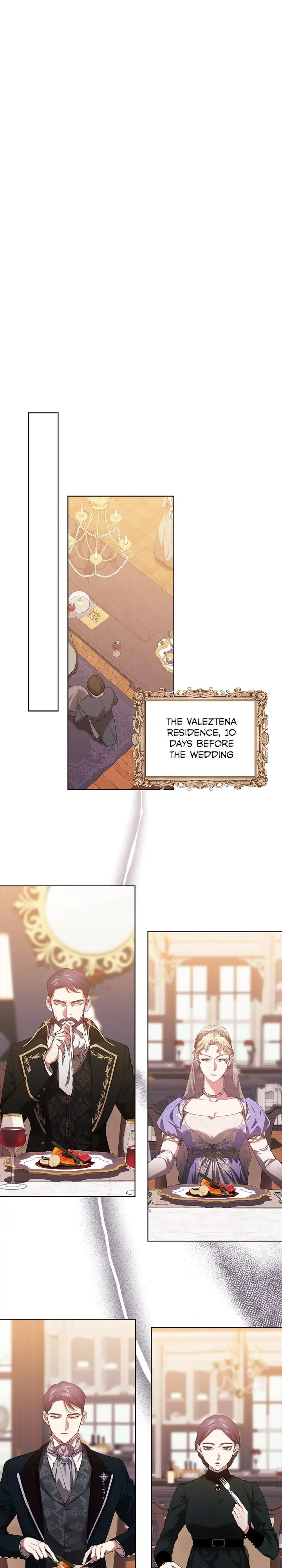 The Broken Ring : This Marriage Will Fail Anyway Chapter 12 page 23