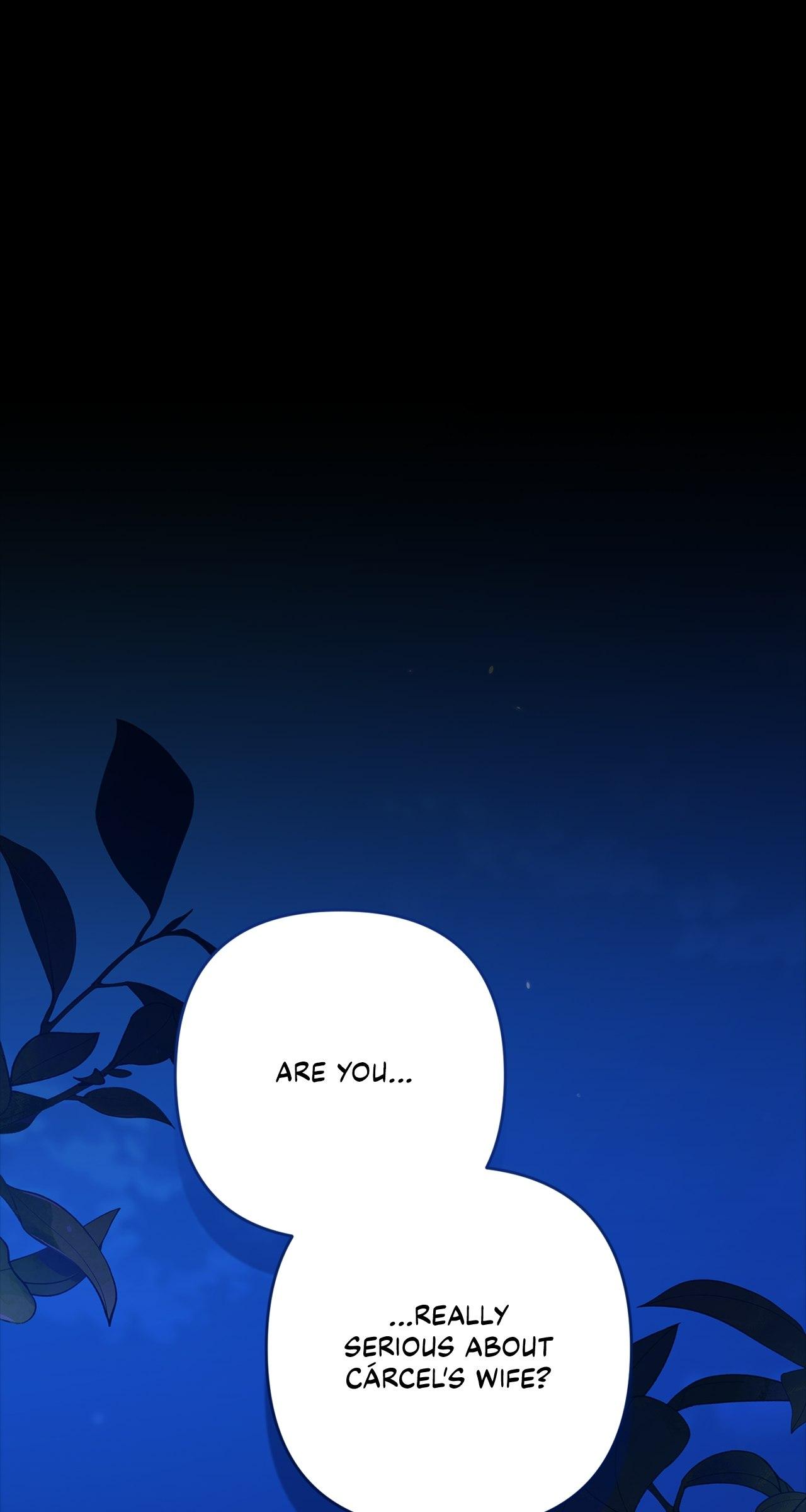 The Broken Ring : This Marriage Will Fail Anyway Chapter 85 page 0