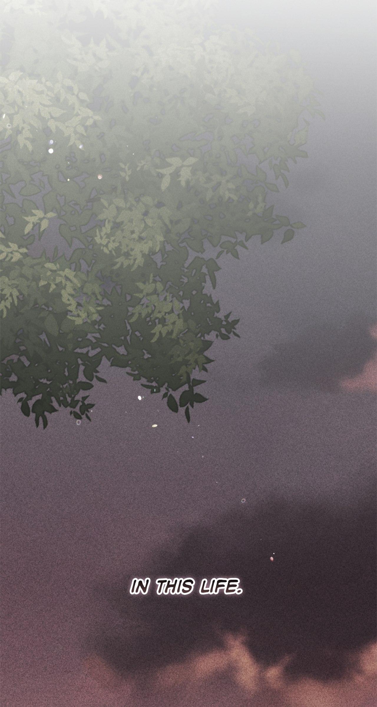 The Broken Ring : This Marriage Will Fail Anyway Chapter 85 page 51