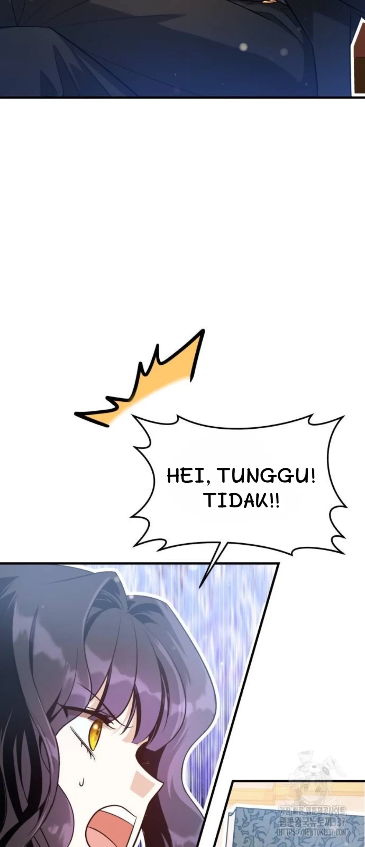 The Emperor, A Thousand Years Younger Than Me, Is Obsessed Chapter 21 page 11