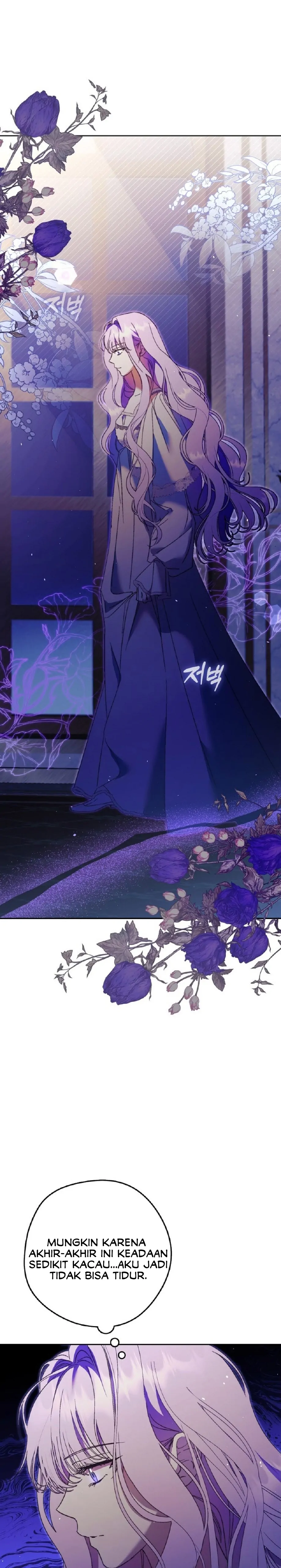 The Male Leads Were Stolen by the Extra Chapter 16 page 29