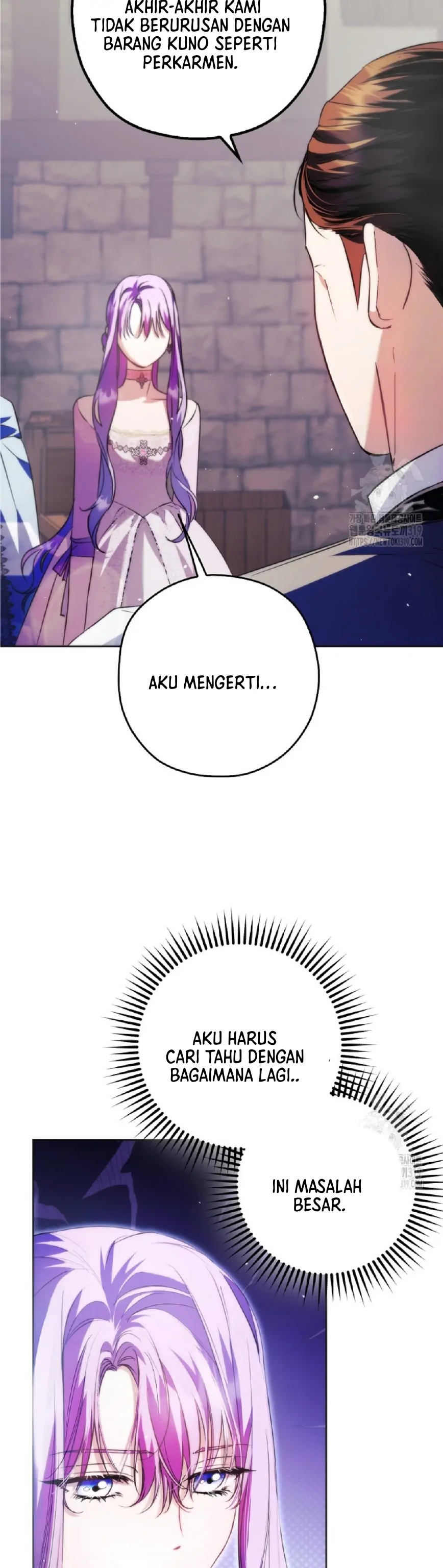 The Male Leads Were Stolen by the Extra Chapter 24 page 19