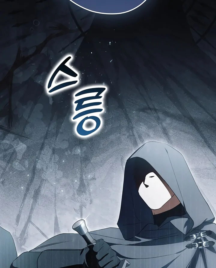 The Male Leads Were Stolen by the Extra Chapter 45 page 17