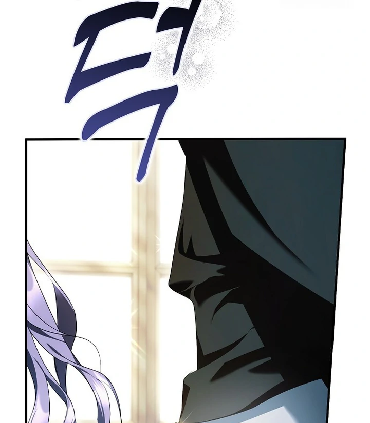 The Male Leads Were Stolen by the Extra Chapter 48 page 66