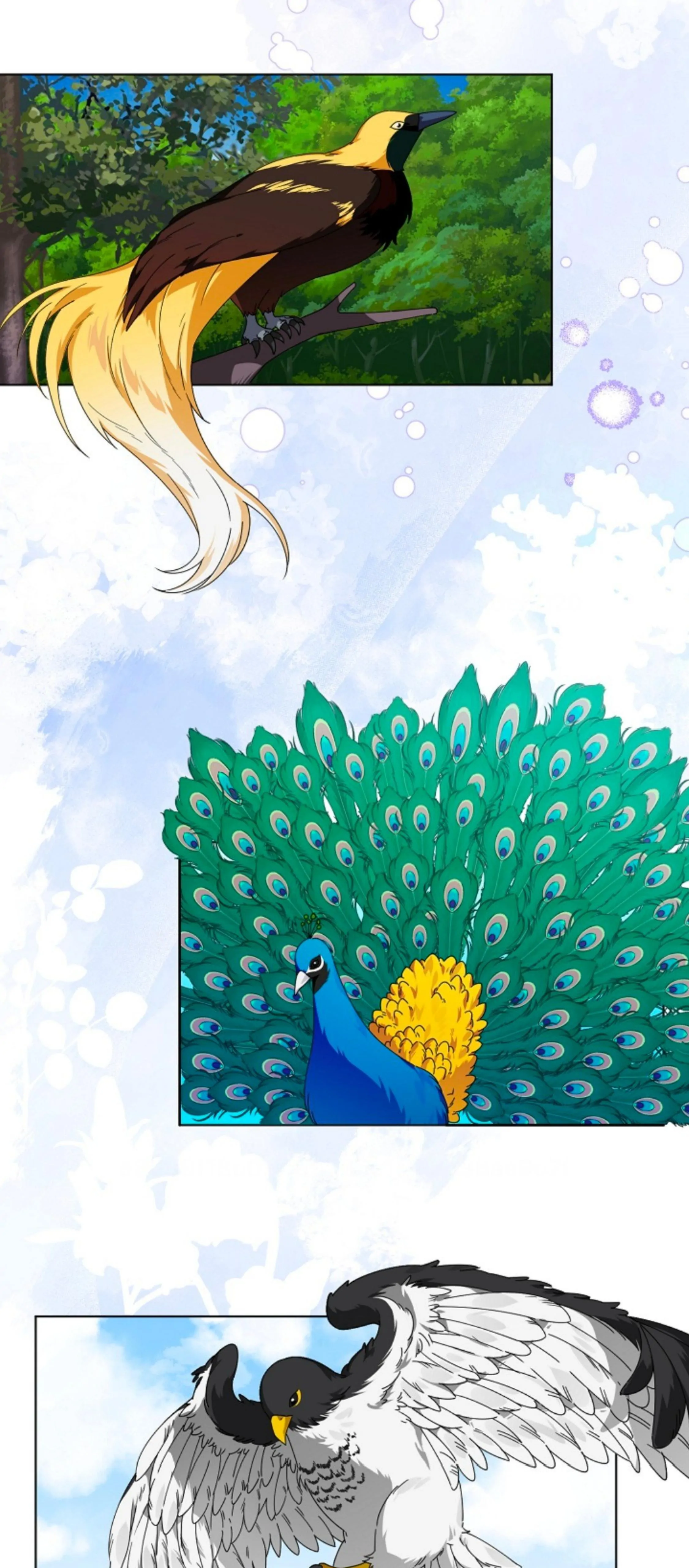 The New Empress Chapter 2 page 10